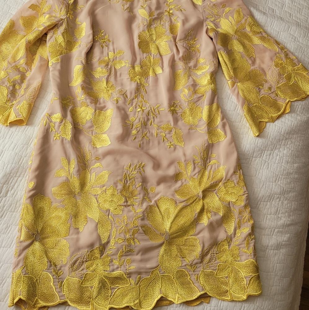 Nude and gold dress